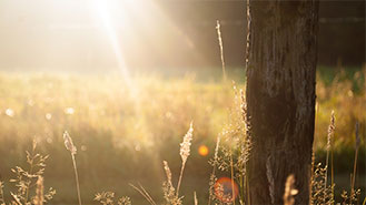 ip攻击器网页版